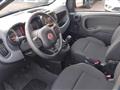 FIAT PANDA CROSS Panda