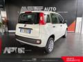 FIAT PANDA VAN Panda 0.9 t.air t. natural power Easy 80cv my19