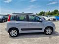 FIAT PANDA 1.2 Lounge 5 POSTI