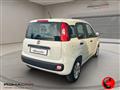 FIAT PANDA 1.3 MJT 95 CV S&S Easy