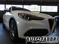 ALFA ROMEO Stelvio 2.2 T.diesel 190 CV AT8 Q4 Bus.