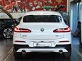 BMW X4 xDrive20d 48V Business Advantage