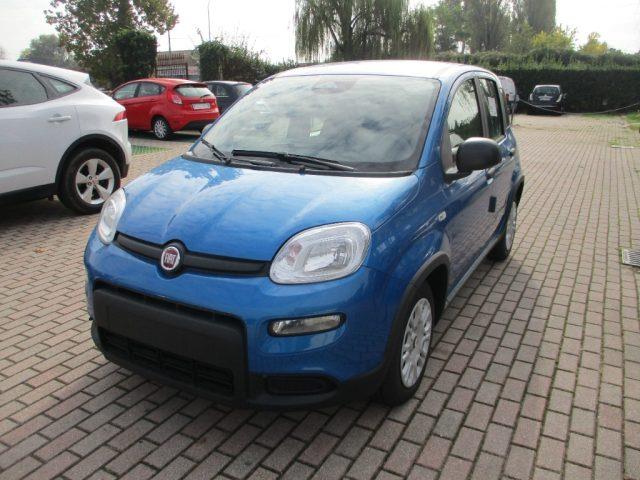 FIAT PANDA 1.0 FireFly S&S Hybrid Pandina