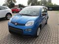 FIAT PANDA 1.0 FireFly S&S Hybrid Pandina