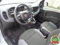 FIAT PANDA 1.2......NEOPATENTATI...