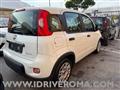 FIAT PANDA 1.0 FireFly S&S Hybrid+GPL