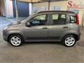 FIAT PANDA 1.0 FireFly S&S Hybrid "OK NEOPATENTATI"