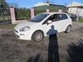 FIAT PUNTO 1.3 MJT II S&S 85 CV 5 porte ECO Easy