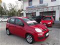 FIAT PANDA 1.2 69cv NEOPATENTATI