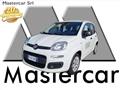 FIAT PANDA VAN Panda 1.2 POP NEOPATENTATI FR812NY