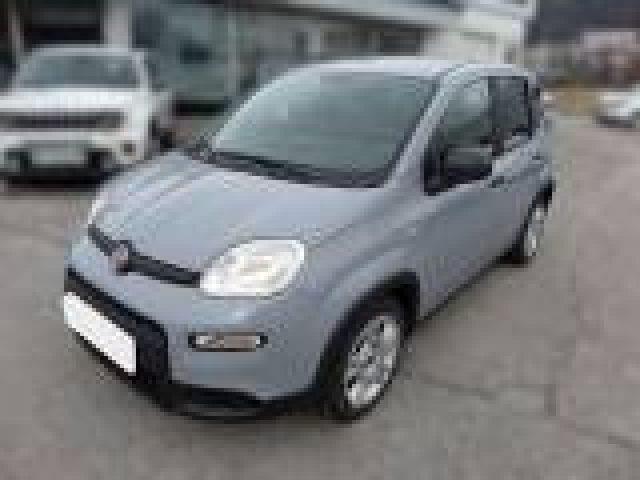 FIAT PANDA FIAT PANDA