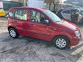 FIAT PANDA 1.2 Active Neopatentato