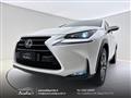 LEXUS NX Hybrid 4WD Executive Bianco perla-Navi-Sensori-ACC