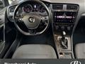 VOLKSWAGEN GOLF 2.0 TDI DSG 5p. Business BlueMotion Technology