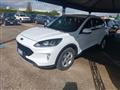 FORD KUGA 1.5 EcoBlue 120 CV 2WD Titanium Business