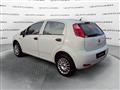 FIAT PUNTO 1.4 8V 5 porte Natural Power Lounge