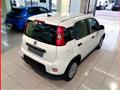 FIAT Panda 1.0 FireFly S&S Hybrid MY24 KM ZERO!!! IVATA NEOPATENTATI