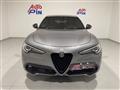 ALFA ROMEO STELVIO 2.2 Turbodiesel 210 CV AT8 Q4 Veloce