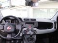 FIAT Panda 1.0 hybrid Easy Garanzia Fiat