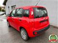 FIAT PANDA 1.2 Easy Climatizzata Neo Patentati