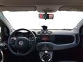 FIAT PANDA III 2021 1.0 firefly hybrid Cross s&s 70cv 5p.ti