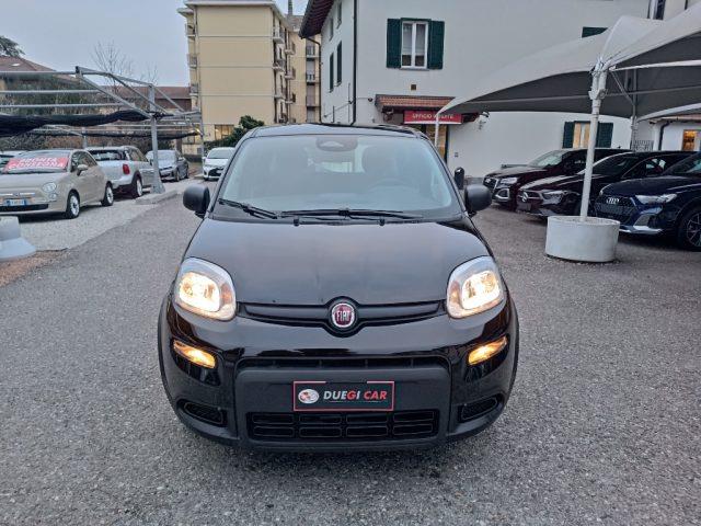 FIAT PANDA 1.0 FireFly S&S Hybrid Pandina