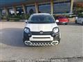 FIAT PANDA 1.0 FireFly S&S Hybrid Pandina