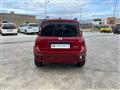 FIAT Panda Cross 1.0 firefly hybrid Cross s&s 70cv 5p.ti