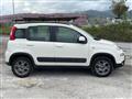 FIAT PANDA 1.3 MJT S&S 4x4