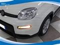 FIAT PANDA CROSS Hybrid 1.0 FireFly 70cv EU6