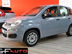 FIAT Panda 1.2   ** NO VINCOLO FINANZIAMENTO **