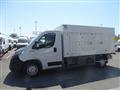 OPEL MOVANO 140CV CELLA A PIASTRE 6 SPORTELLI+PORTE POSTERIORI