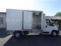 OPEL MOVANO CELLA ISOTERMICA -20° CON PARATIA MOBILE FRCX