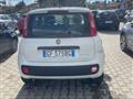 FIAT Panda 1.0 firefly hybrid City Life s&s 70cv 5p.ti