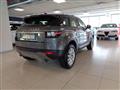 LAND ROVER RANGE ROVER EVOQUE Range Rover Evoque 2.0 TD4 150 CV 5p. Business Edition SE