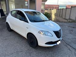 LANCIA Ypsilon 1.2 69 CV 5 porte Elefantino