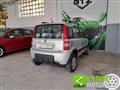 FIAT PANDA 1.2 4X4 Dynamic NEOPATENTATI