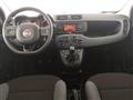 FIAT PANDA 1.0 FireFly S&S Hybrid Easy