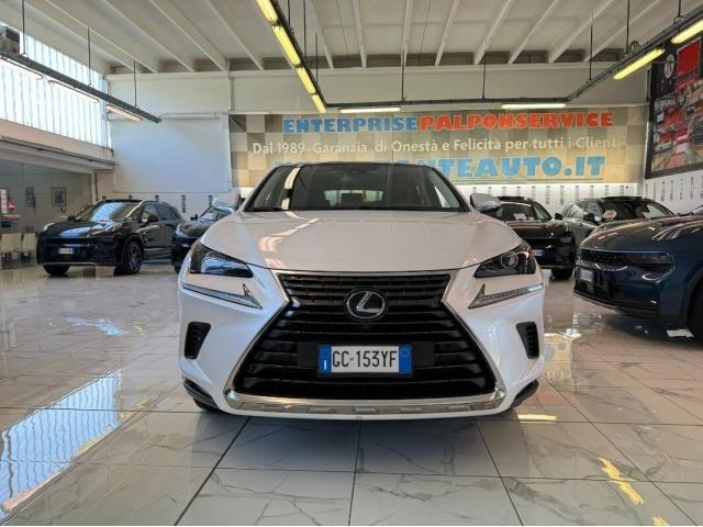 LEXUS NX NETTO EXPORT ART. 41 300h 2.5 Premium 4wd cvt