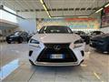 LEXUS NX NETTO EXPORT ART. 41 300h 2.5 Premium 4wd cvt