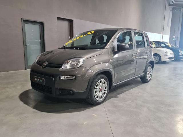 FIAT PANDA Hybrid 1.0 70cv