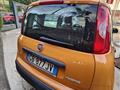 FIAT PANDA 1.0 FireFly S&S Hybrid Trussardi