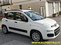 FIAT PANDA 1.2 69Cv *NEOPATENTATI*