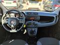 FIAT PANDA 1.3 MJT 95 CV S&S Easy