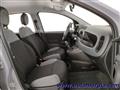 FIAT PANDA 1.0 FireFly S&S Hybrid CON ROTTAMAZIONE