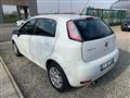 FIAT PUNTO 1.2 8V 5 porte Street