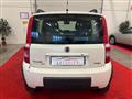 FIAT Panda 1.3 mjt 16v 4x4 NEOPATENTATI