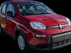 FIAT PANDA 1.0 FireFly S&S Hybrid Pandina