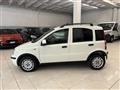 FIAT PANDA VAN 1.2 Van Active 2 posti