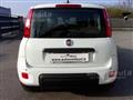 FIAT PANDA 1.0 FireFly S&S Hybrid Pandina